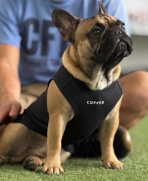 Copper（コッパー）